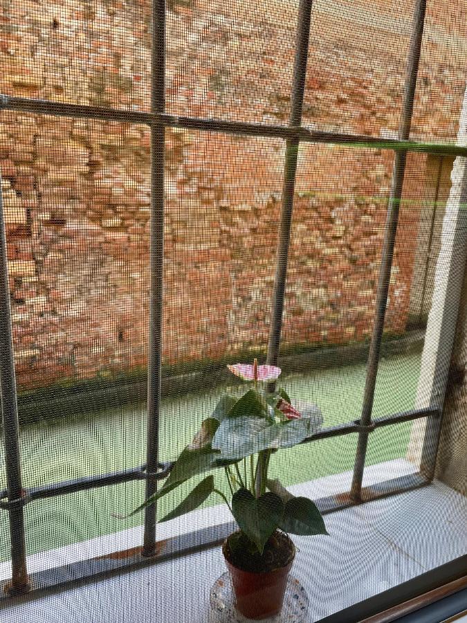 Hayez Rooms Venedig Exteriör bild